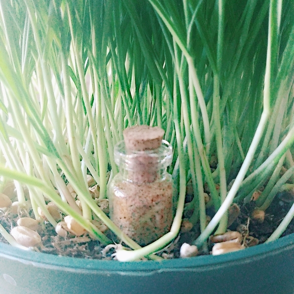 ...Hindu Hotfoot Powder D262021-♾️...1.5ml...0.05 fl. oz. Container... - Picture 2 of 2